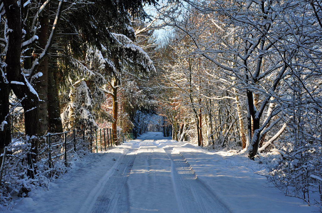 Winterwaldstrasse im Steinbachtal - 08.12.2012