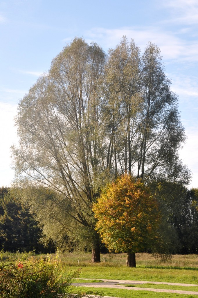 ALLENSBACH, 29.09.2014, im Wildpark