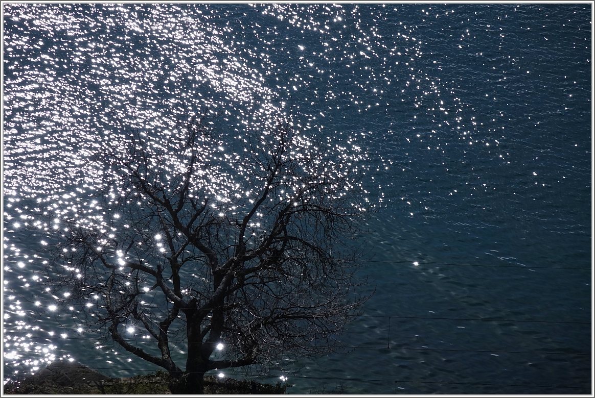 Ambiente am Genfersee.
(22.02.2014)