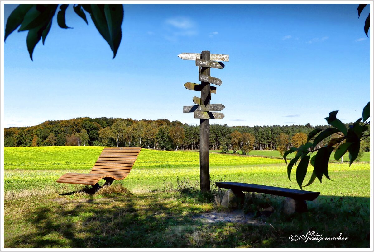 Auf einer Anhöhe im Moor bei Ostervesede im Kreis Rotenburg-Wümme (Heiderandgebiet) Mitte Oktober 2024.