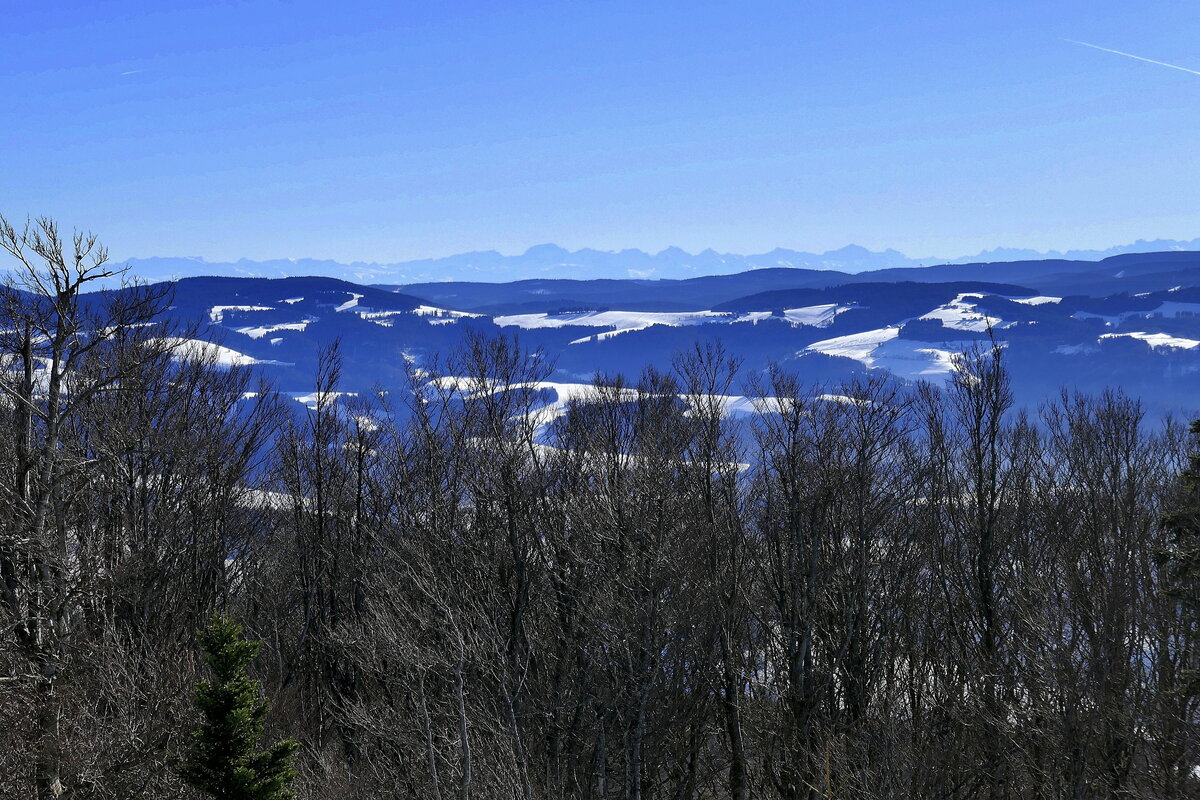 Blick vom 1241m hohen Kandel über die Schwarzwaldberge, am Horizont die Schweizer Alpen mit dem Berner Oberland, Dez.2024