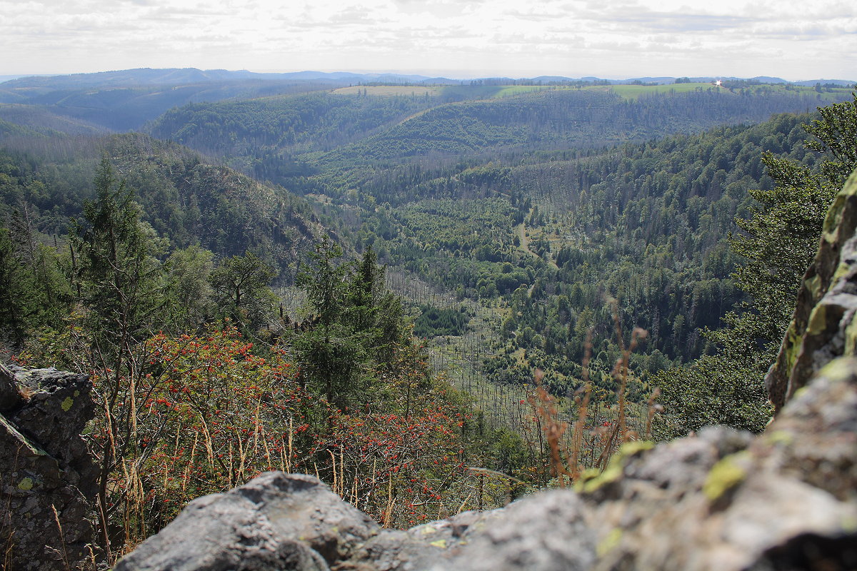 Blick von dem ungesicherten Gipfel eines Felsturms der Hahnenkleeklippen in den gähnenden Abgrund des Odertals und in die Weite der Landschaft bis nach Thüringen südlich des Harzes; Aufnahme am Nachmittag des 14.09.2024...