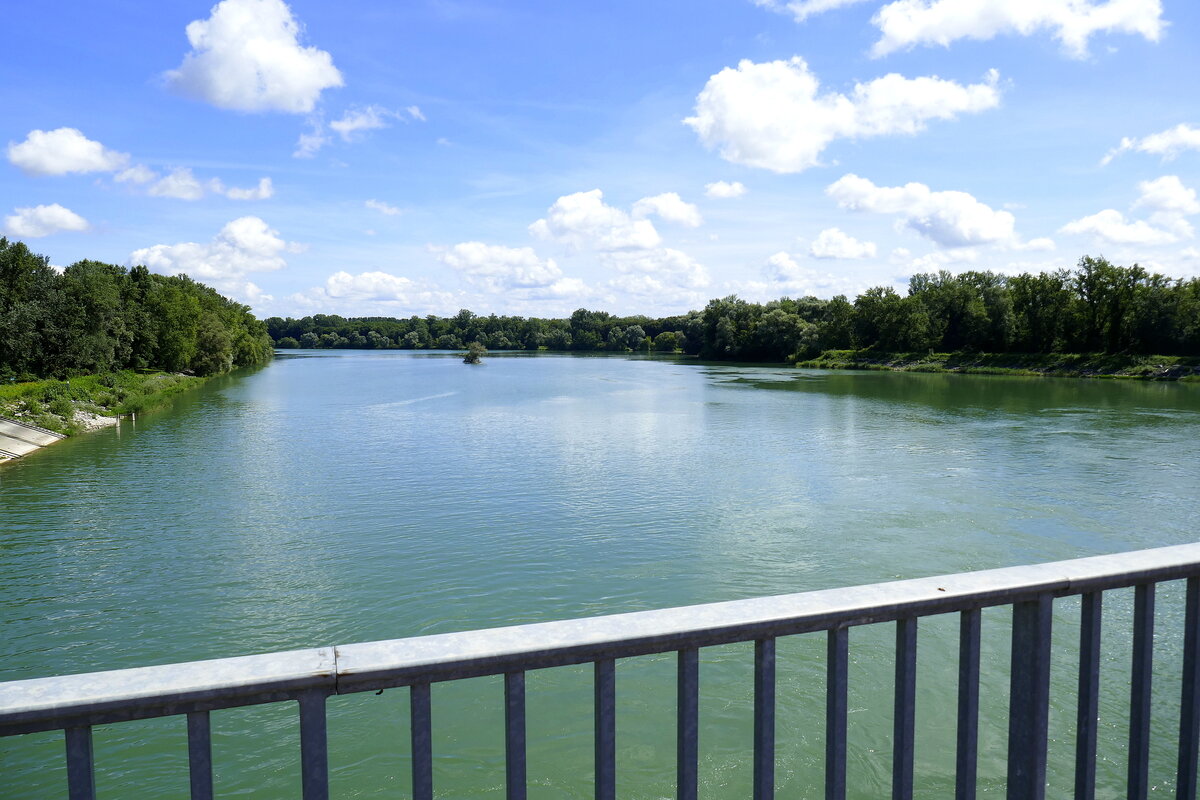 Blick vom Stauwehr bei Schoenau/Elsaß auf den Altrhein, Aug.2024