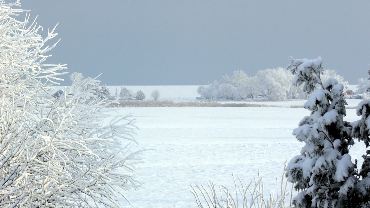 Burhave am 18.12.2010 im Winter.