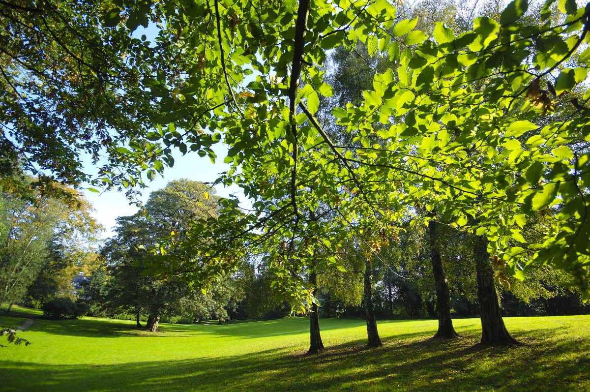 Christiansen-Park in Flensburg. September 2011.