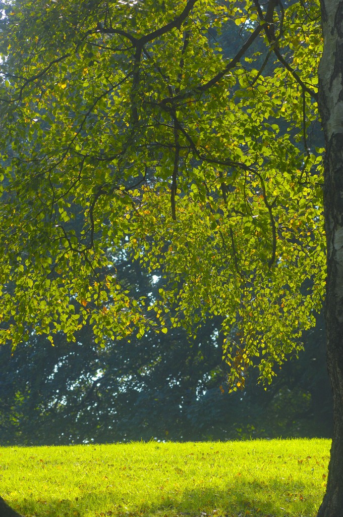 Christiansen-Park in Flensburg. September 2011.