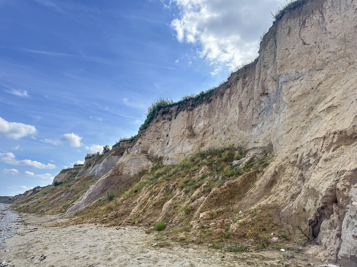 Die Steilküste am Schwedeneck im Dänischen Wohld (Kreis Rendsburg-Eckernförde). Aufnahme: 27. August 2024.