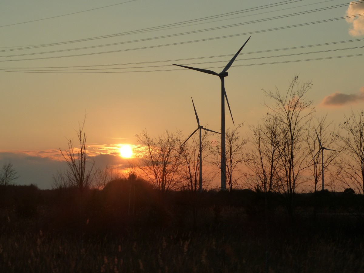 Elsterheide 26.02.2016