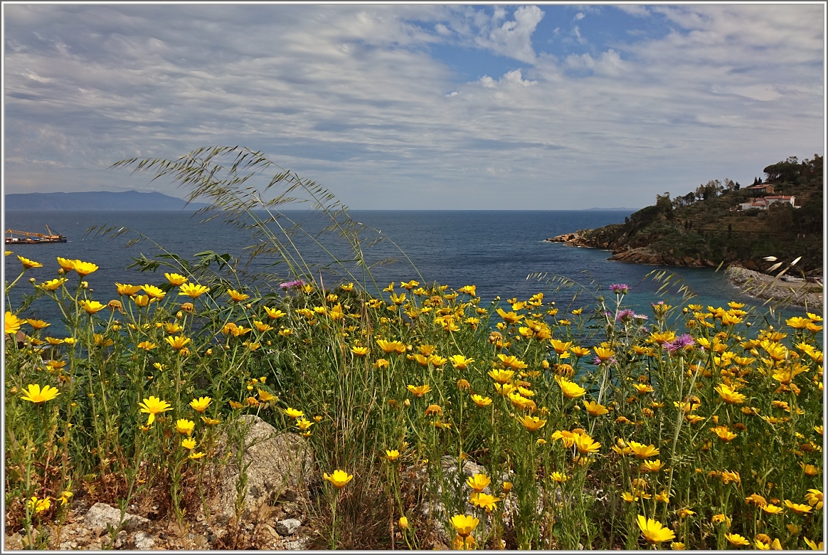 Frühling auf Giglio
(23.04.2015)