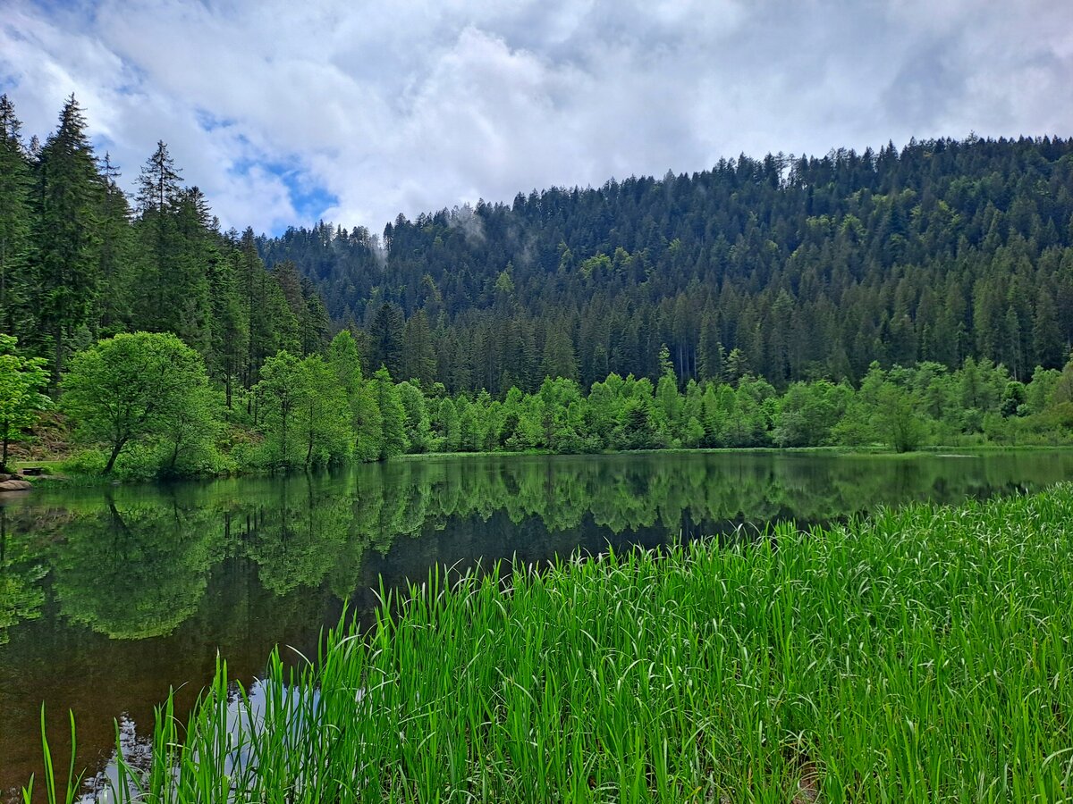 Sankenbachsee bei Baiersbronn im Schwarzwald am 30.05.2024