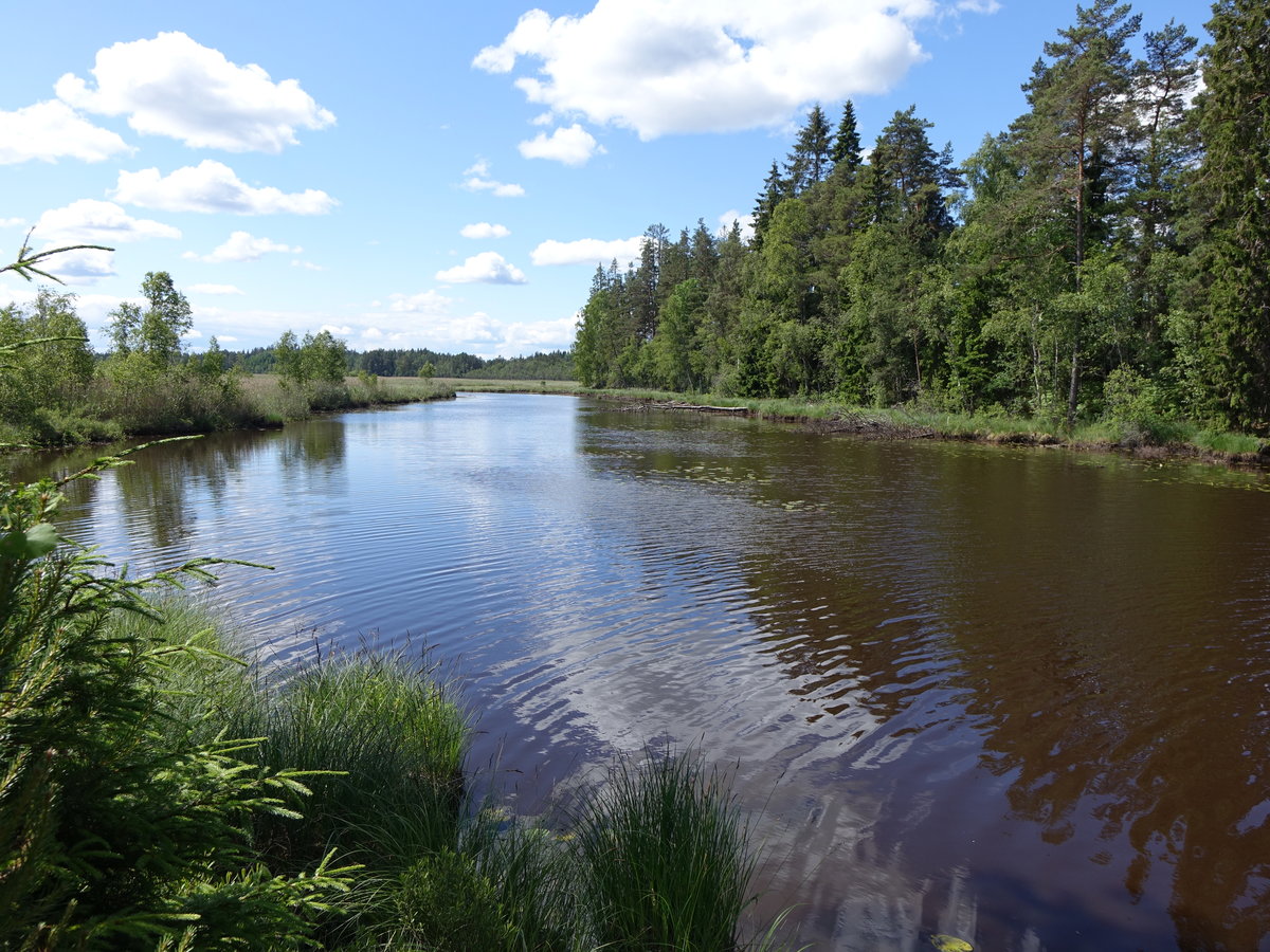 See bei Nydala (12.06.2016)