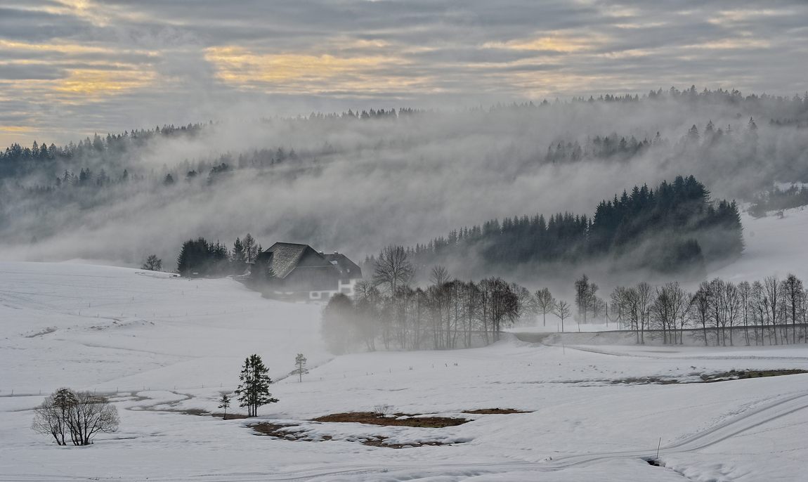 St. Märgen.Die Winternebel.09.03.2013