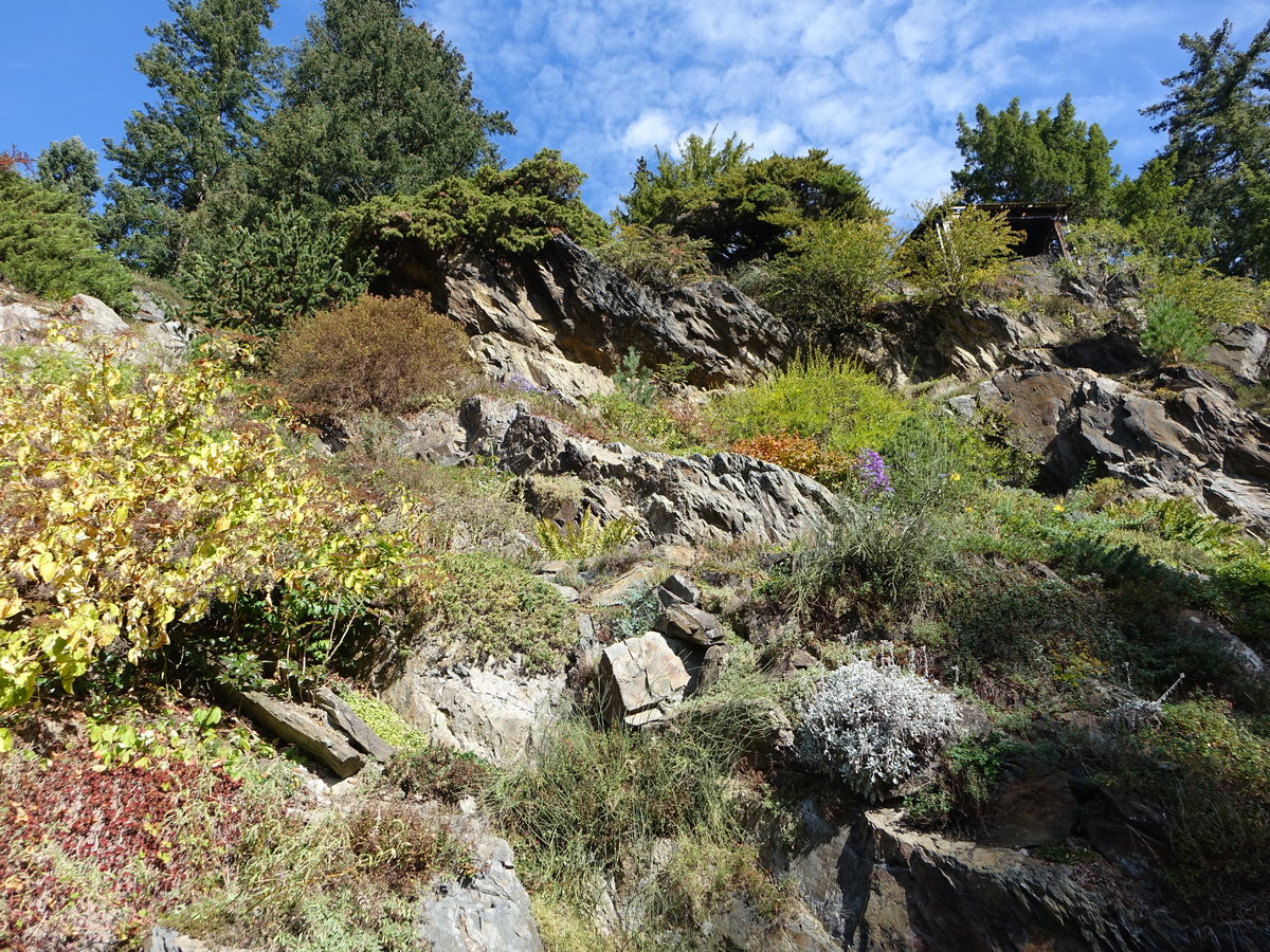 Steingarten im Schloßpark Pruhonice (01.10.2019)