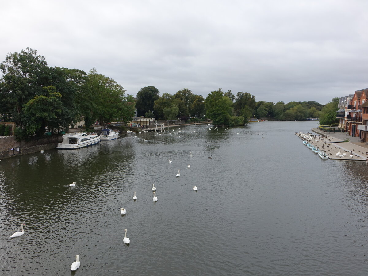 Themse bei Eton, Grafschaft Berkshire (09.09.2024)