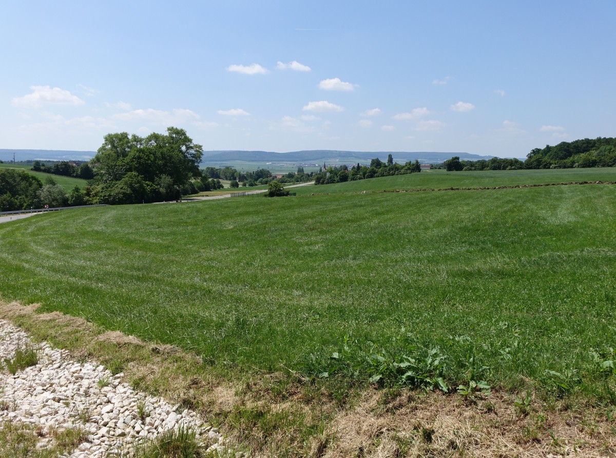 Westmittelfranken bei Theilenhofen (04.06.2015)