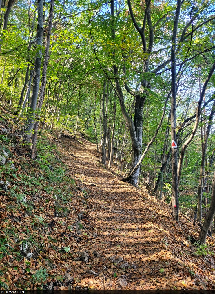 Zu Fuß auf den Tâmpa, den Hausberg der Stadt Brașov (RO).

🕓 16.9.2024 | 12:01 Uhr