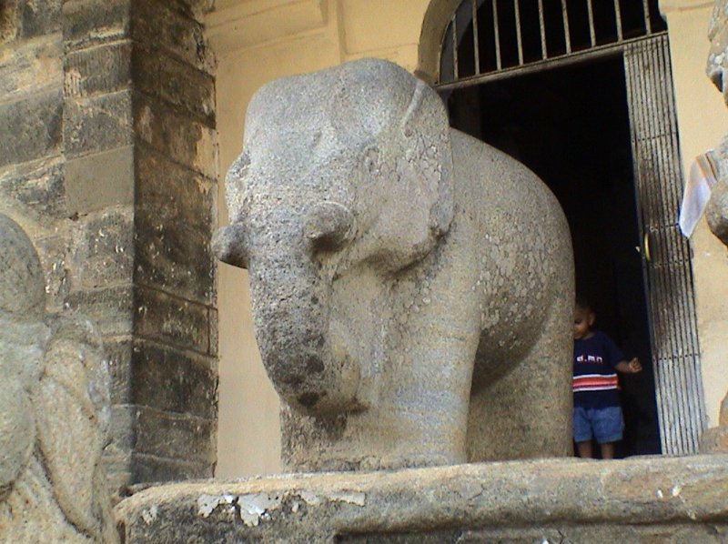 2005.12.04. Tempel in Gadaladeniya
