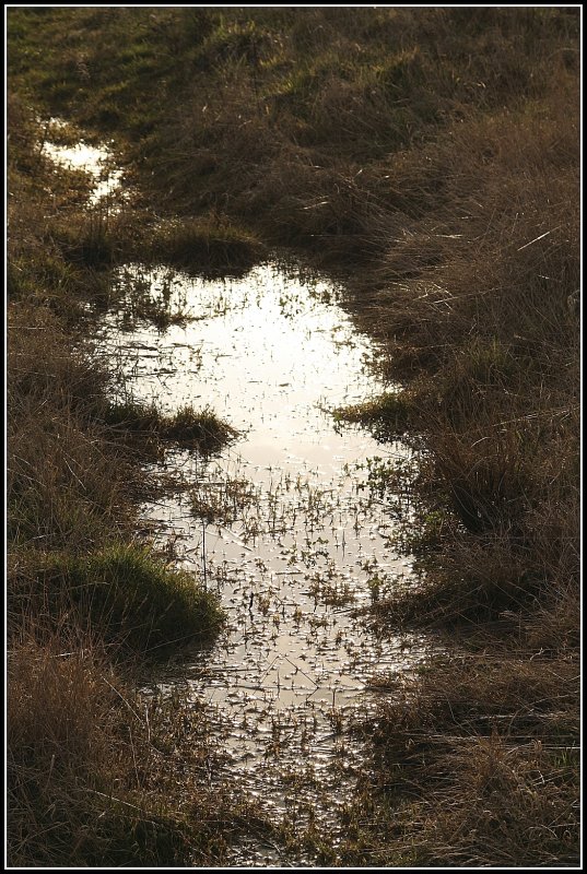 Abendstimmung. (27.03.2009)