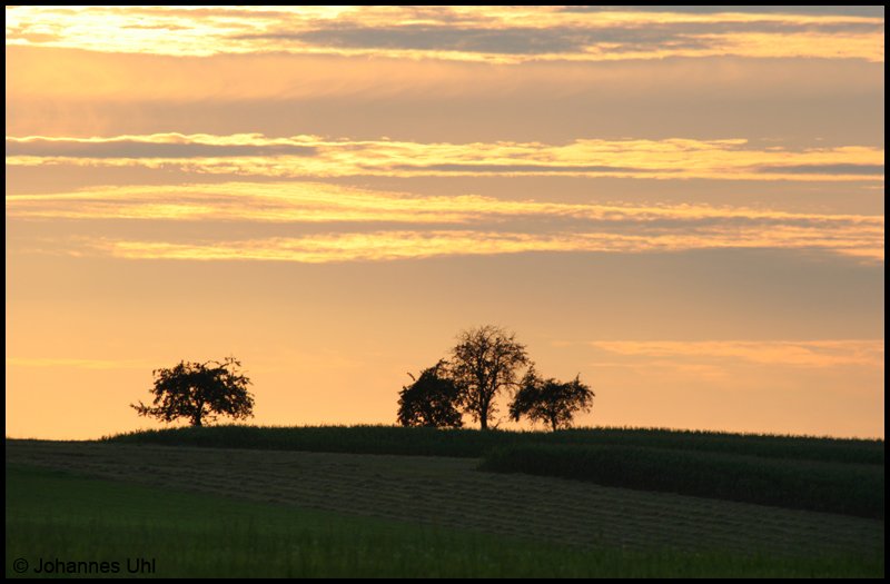 Abendstimmung am 21.08.2008 in Aalen-Fachsenfeld.