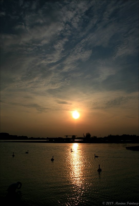 Abendstimmung am Rhein in Duisburg-Walsum