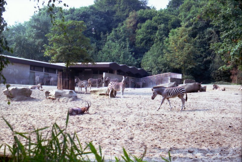 Afrikanische Steppe im Duisburger Zoo