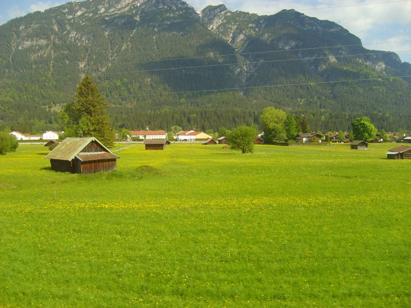 Almwiese bei Garmisch Patenkirchen