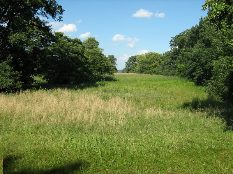 Auf der Pfaueninsel
BERLIN 2007