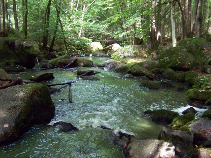 Bild vom Hllbach bei Falkenstein