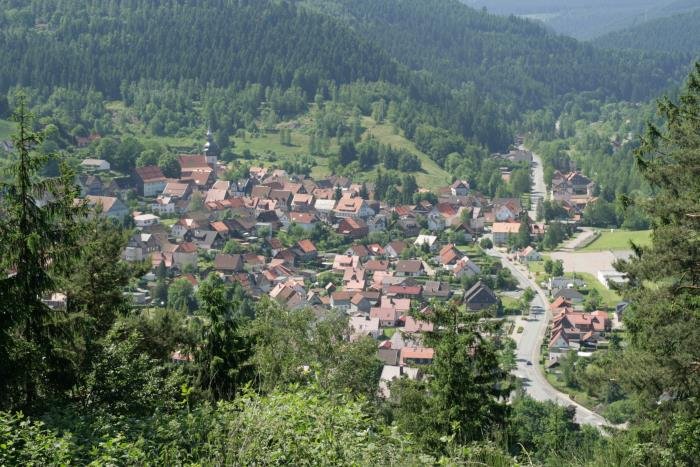 Blick auf die Bergstadt Lautenthal.