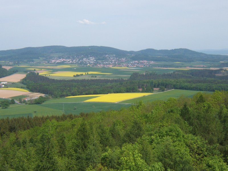 Blick auf Niedenstein