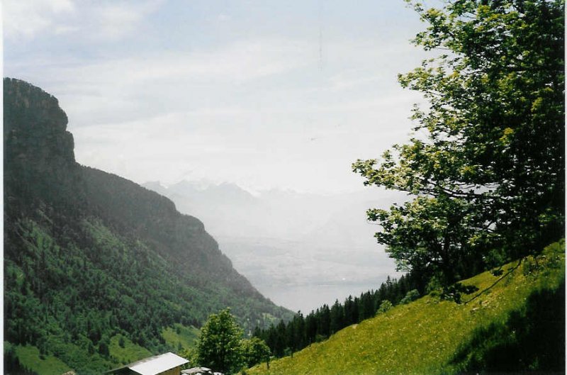 Blick auf den Thunersee