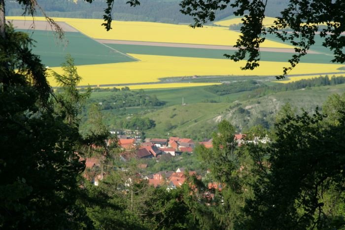 Blick vom Stapenberg auf Benzingerode.