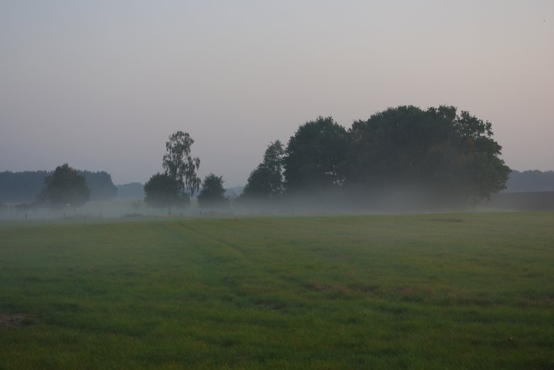 Bodennebel