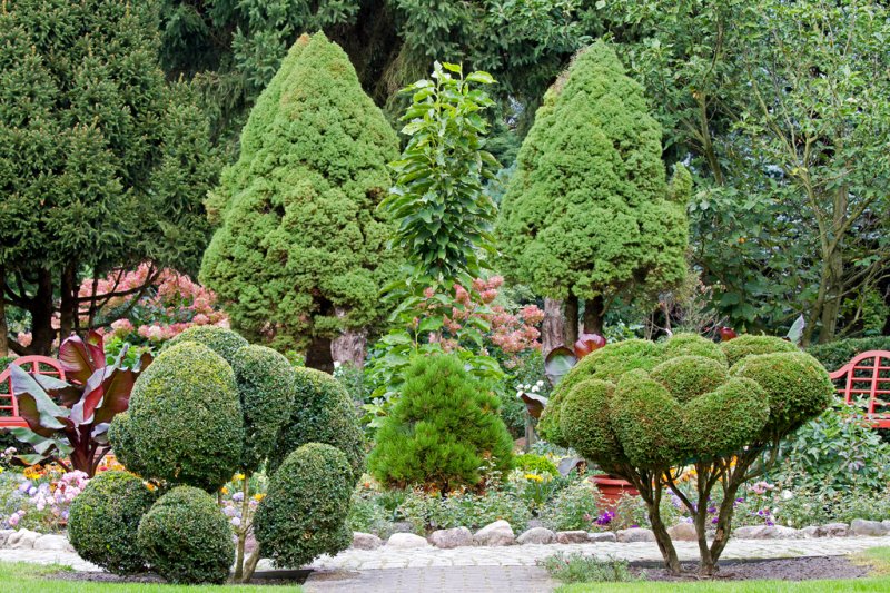 Botanischen Garten Christiansberg Mit Seinen Schonen Anpflanzungen