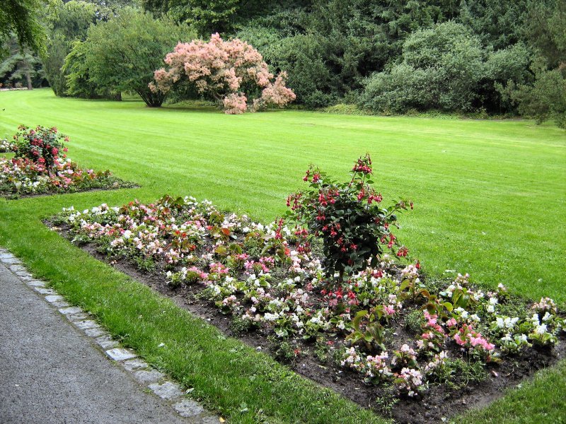 Britzer Garten, Sommer 2007