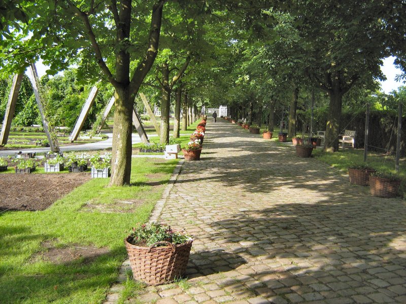 Britzer Garten
BERLIN-BRITZ
2007