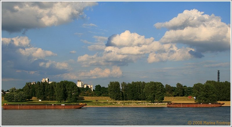 Das Rheinufer von Duisburg-Neuenkamp.