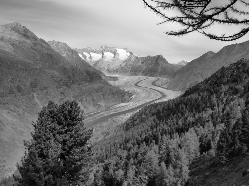 Der Aletschgletscher
(Okt. 2007) 