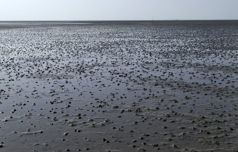 Ebbe Im Wattenmeer Vor Nordstrandischmoor In Nordfriesland Landschaftsfotos Eu