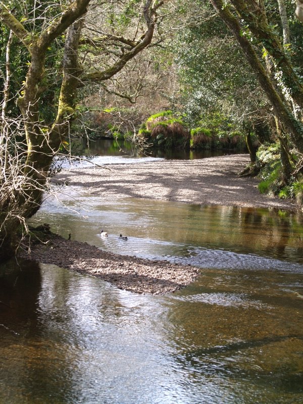 Flsschen durch das Naturreservat