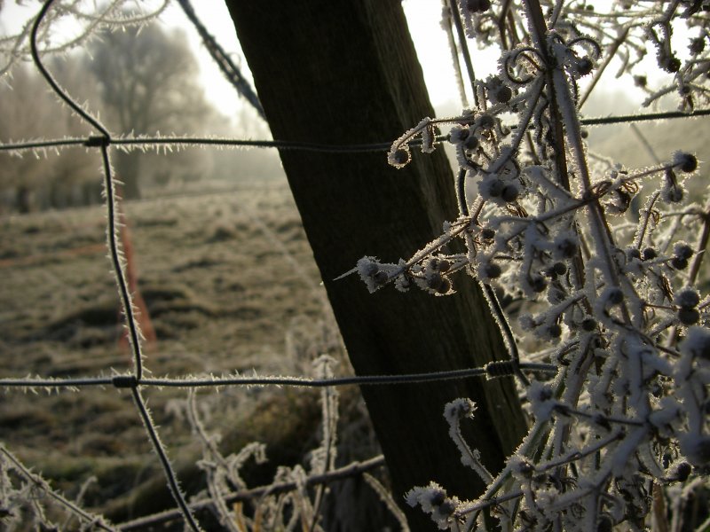 Hannover-Ricklingen, Ricklinger Masch im Winter 