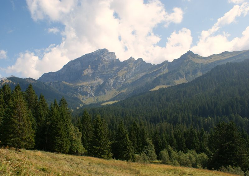 Herbstliche Berglandschaft
(September 2008)