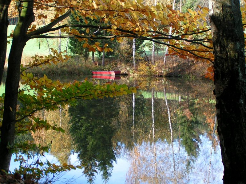 Herbstliche Spiegelung im Riegelhofer-Teich; Okt.2006