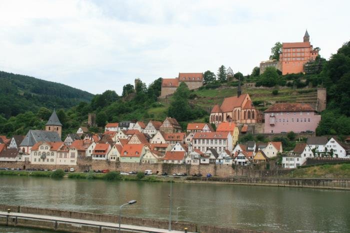 Hirschhorn an der Neckar-Schleife; 06.07.2008