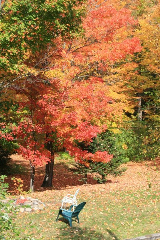 Indian Summer in Ontario.