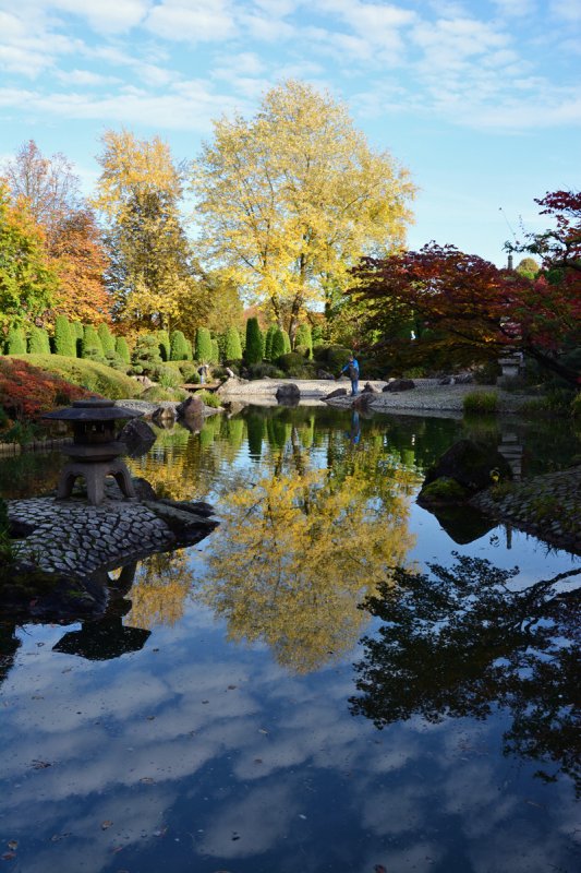 Japanischer Garten Mit Teichspiegelung In Der Rheinaue Bonn