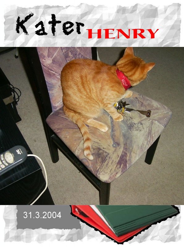 Kater Henry
2004