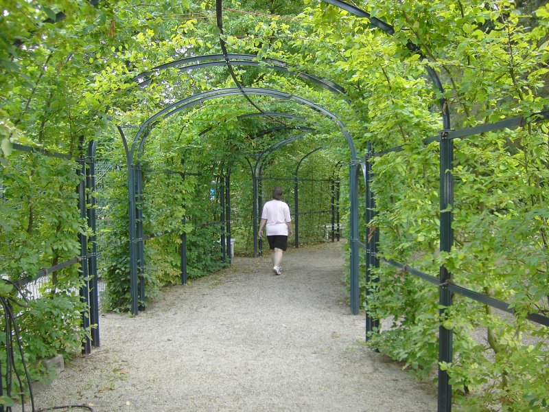 Kreuzgang, Klostergarten Neuzelle