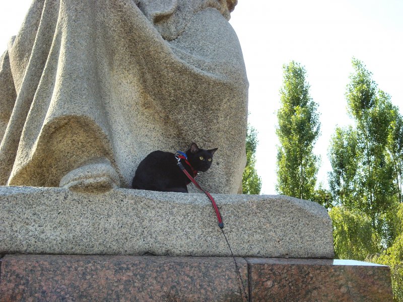 Maunzerle im Treptower Park
JULI 2008