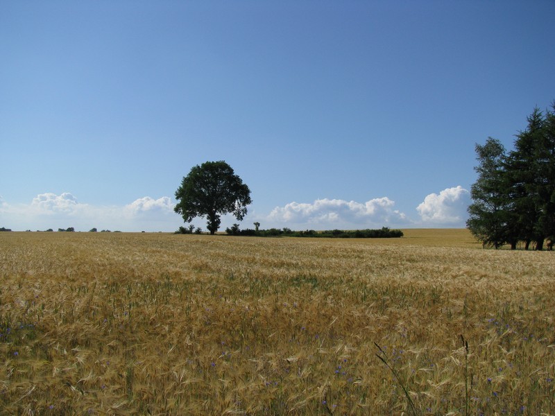 Mecklenburger Landschaft